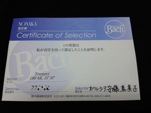 DSC 1141